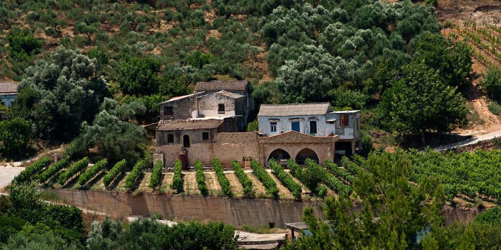 Visit Cretan Wineries
