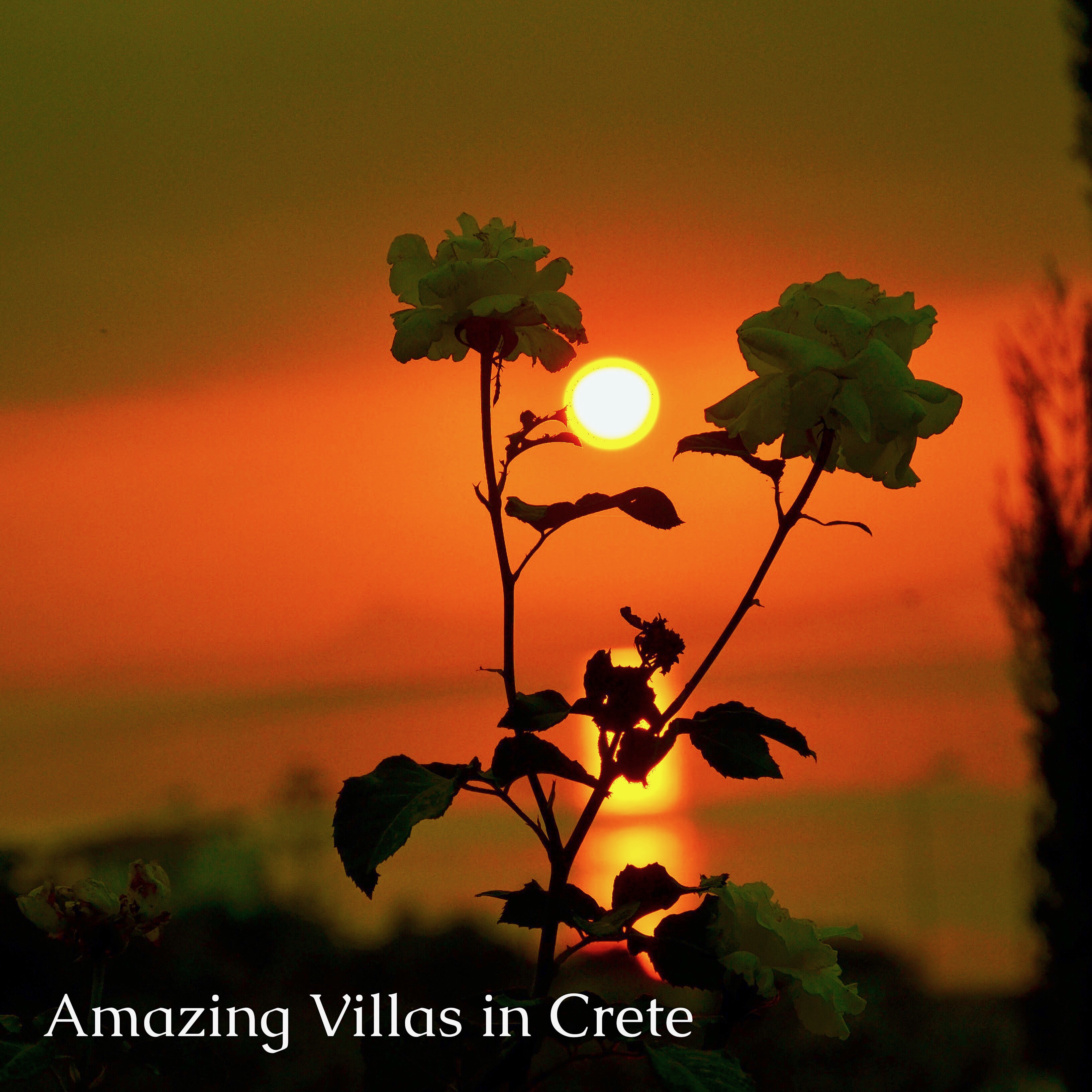 Amazing Villas in Crete - Sunset from our garden
